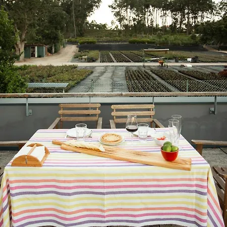 Islas Del Río Miño Villa