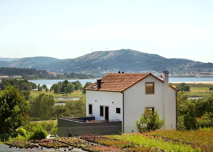 Islas Del Rio Mino Rosal