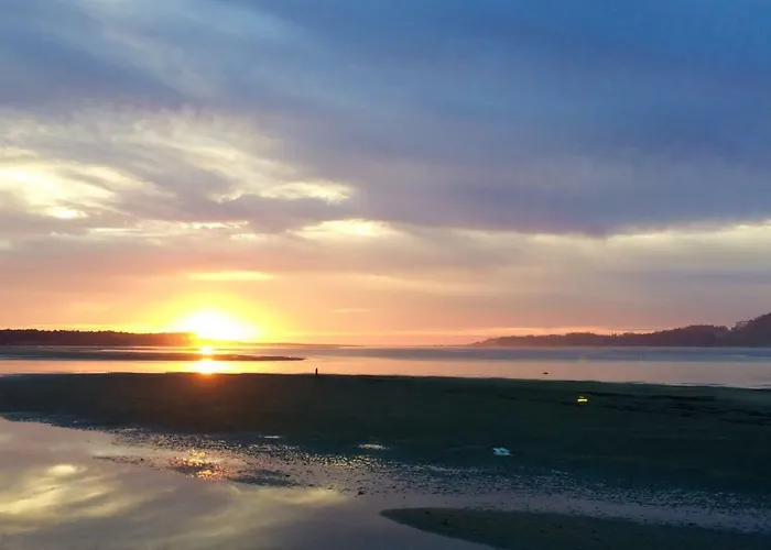 Islas Del Rio Mino * Rosal